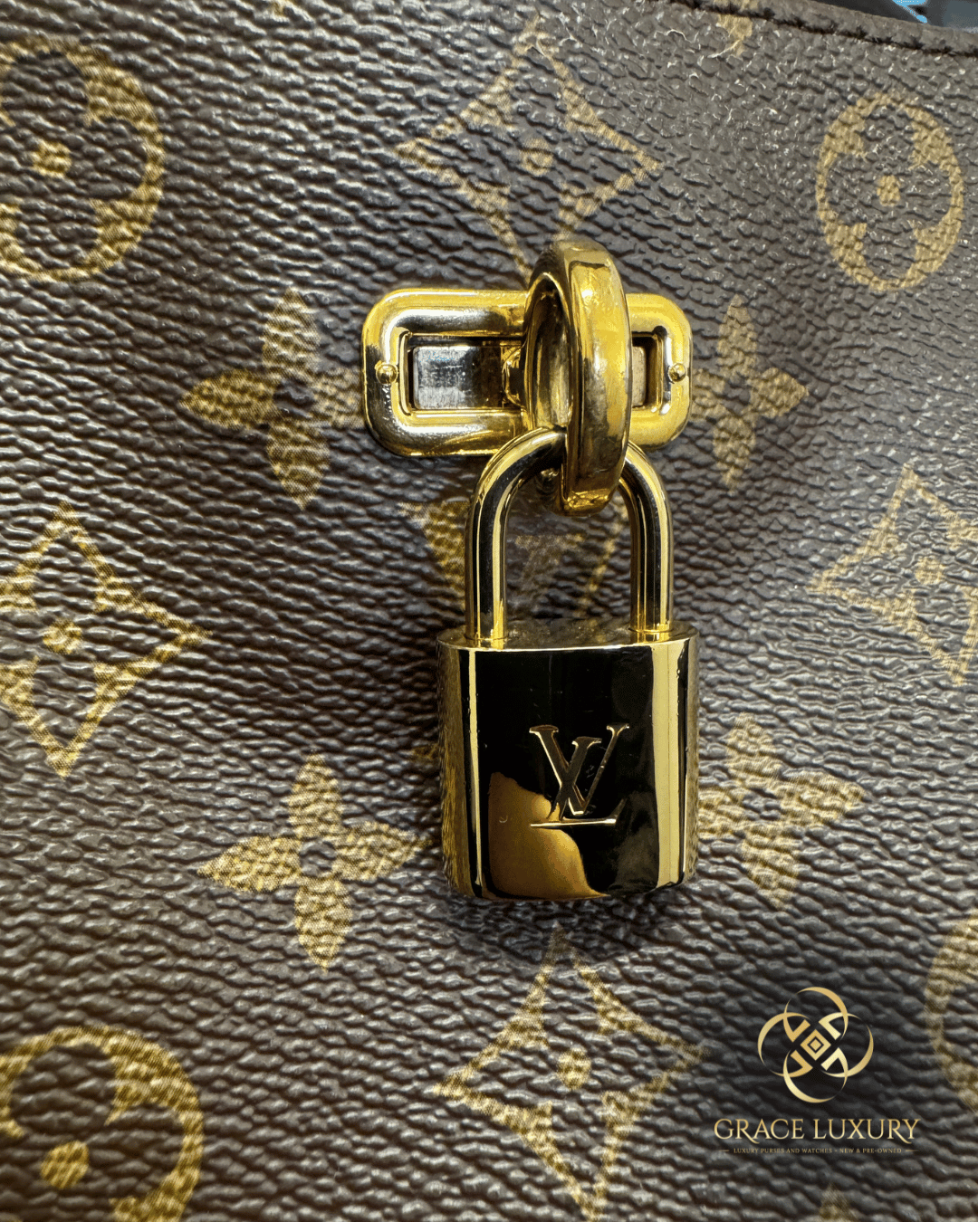 Louis Vuitton Gaia Monogram with Red Leather