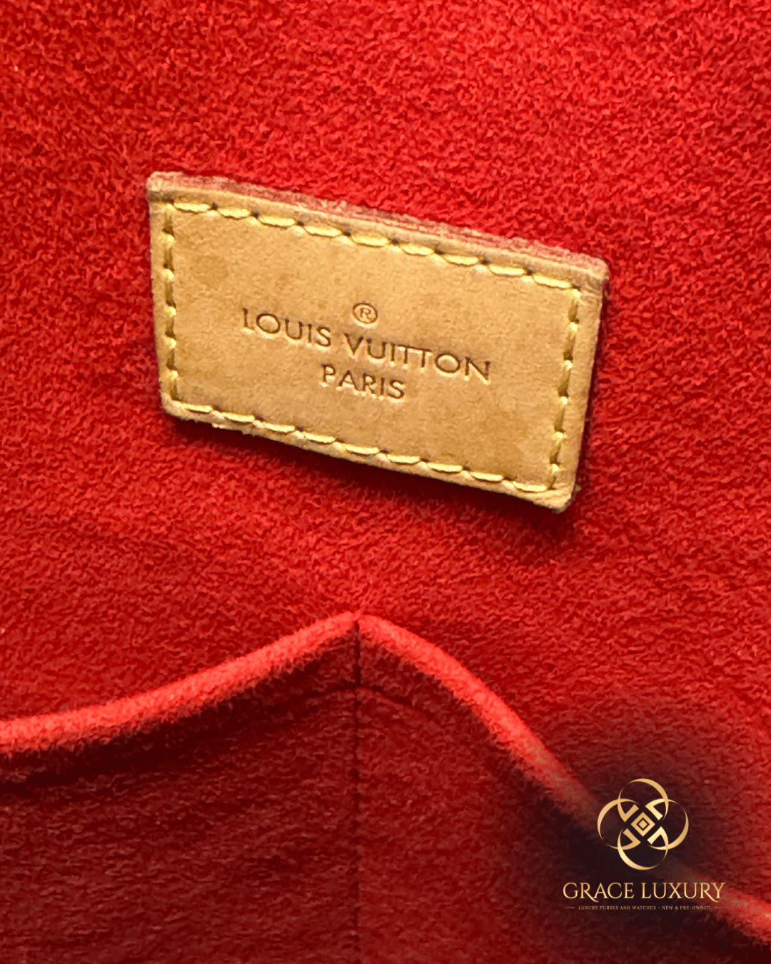 Louis Vuitton Gaia Monogram with Red Leather
